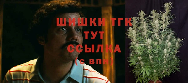 первитин Пестово