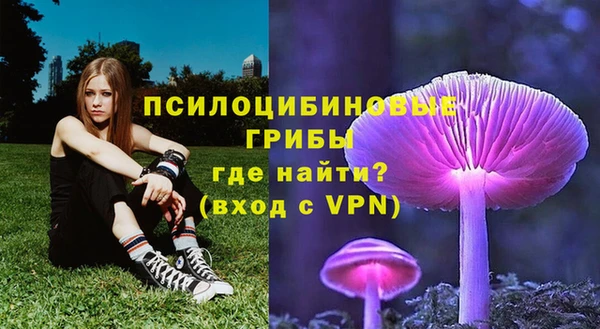 первитин Пестово