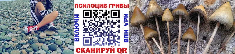 Псилоцибиновые грибы GOLDEN TEACHER  KRAKEN ссылки  Слюдянка 